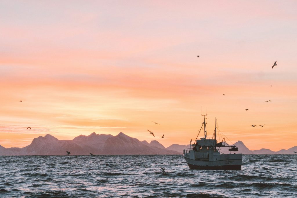 Fiskebåt i fjorden