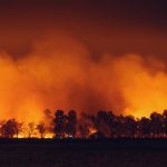 a large fire burning in a field next to a forest