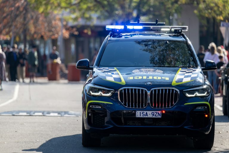 a police car parked on the side of the road