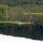 red house near body of water during daytime