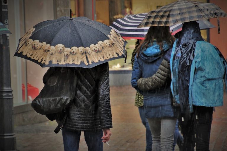 umbrella, rain, wet