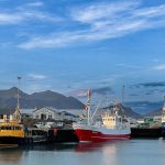 a group of boats that are sitting in the water