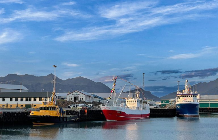 a group of boats that are sitting in the water