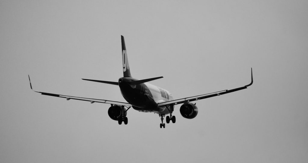 Et fly som flyr