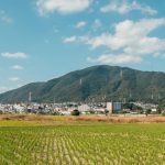 a green field with a mountain in the background