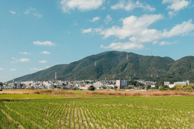 a green field with a mountain in the background