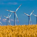 windmill, field, grain