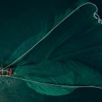 boat, fishing boat, sea