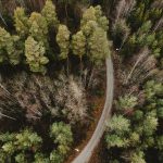 an aerial view of a road in the middle of a forest