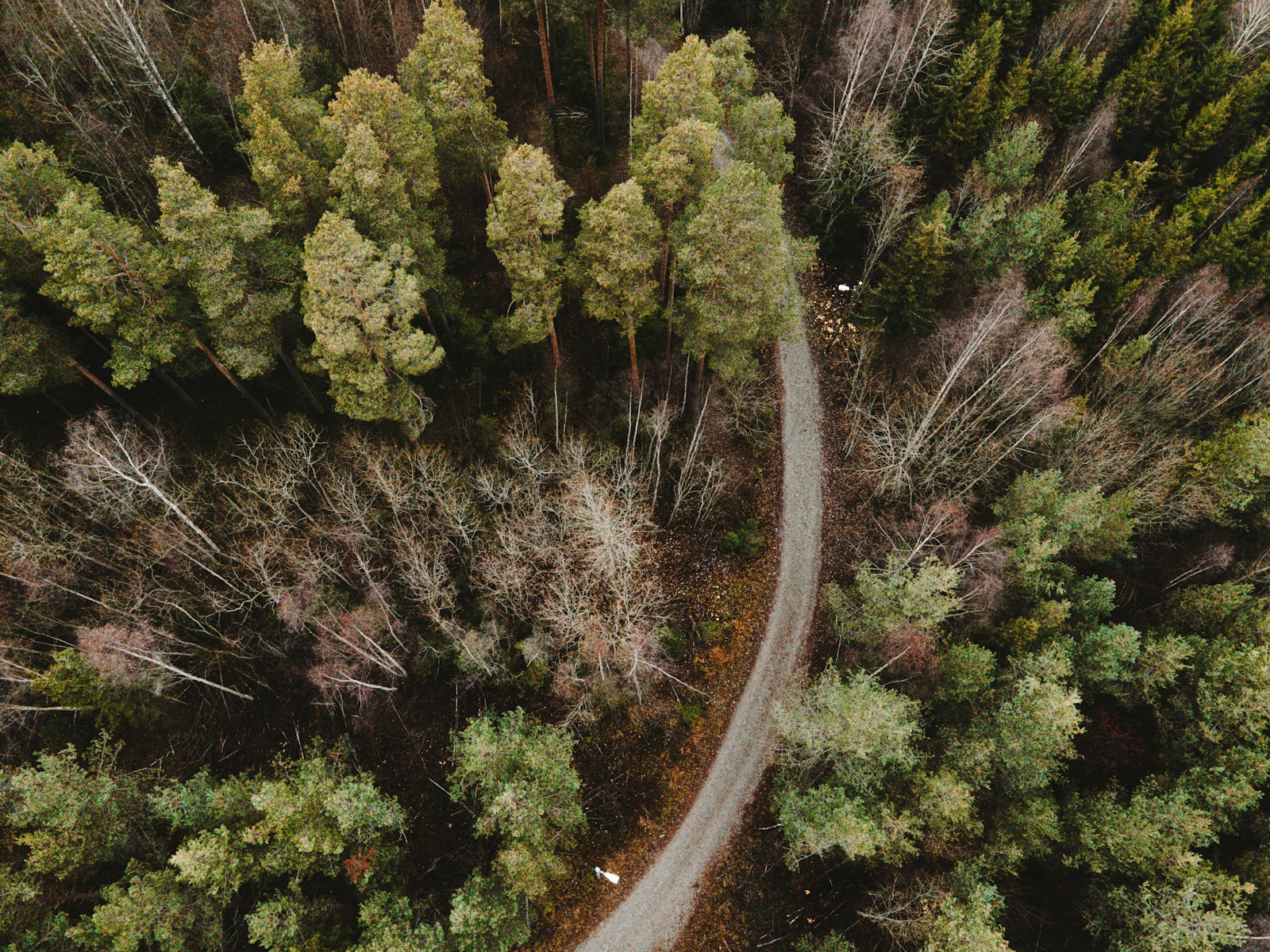 an aerial view of a road in the middle of a forest