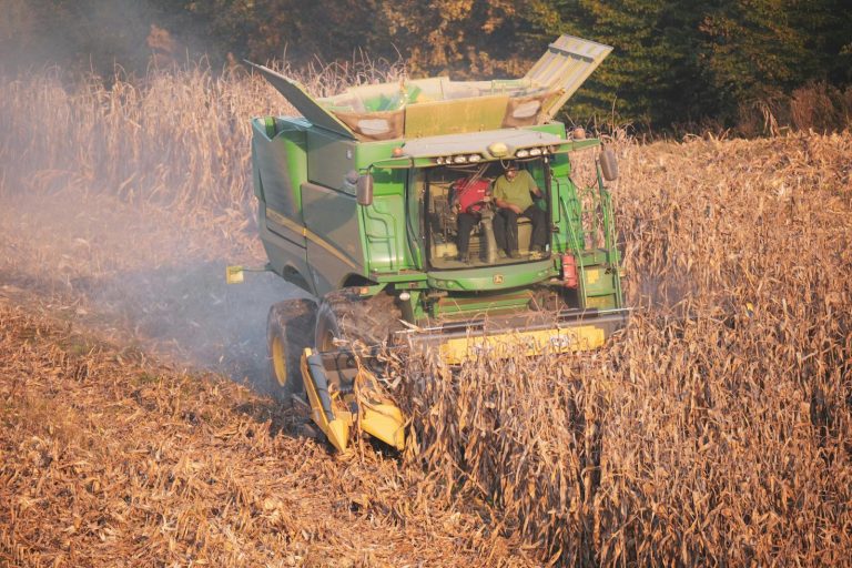 Two Men in a Green Harvester Cutting Corn on a Field