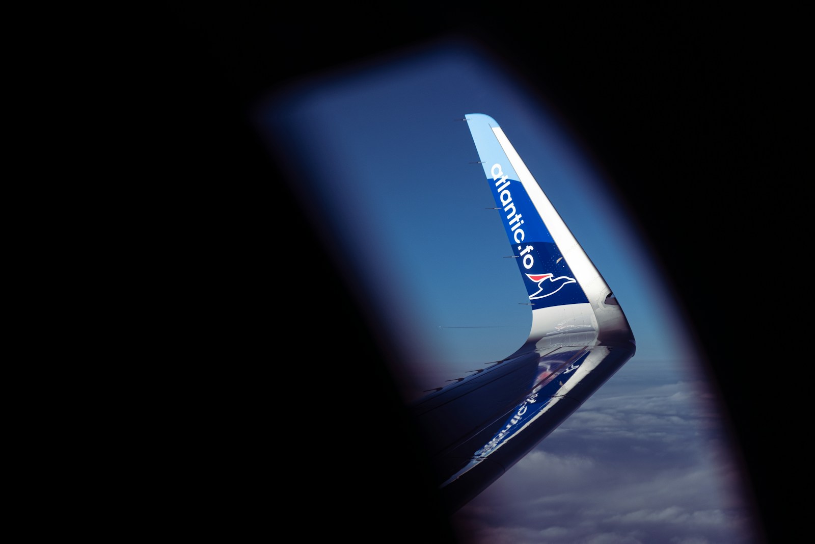 white and blue airplane wing