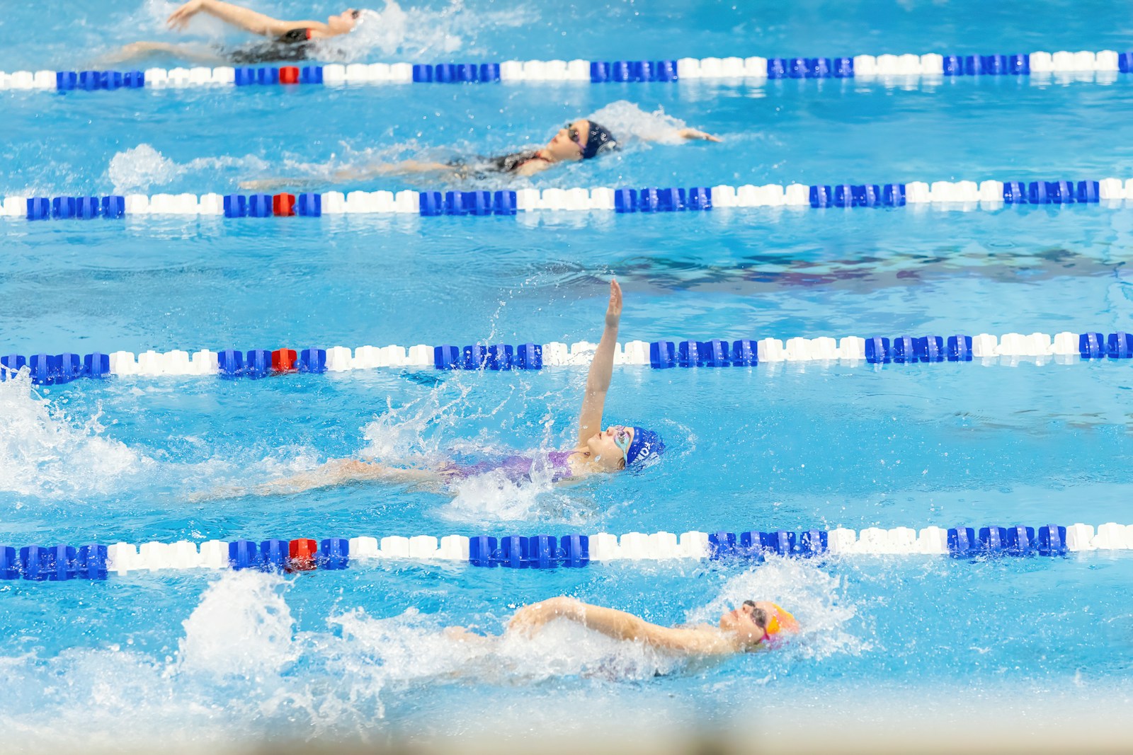 A group of people swimming in a pool