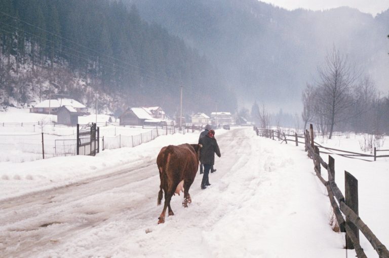 Et gammelt ektepar i Ukraina som fryser. Vinter og masse snø