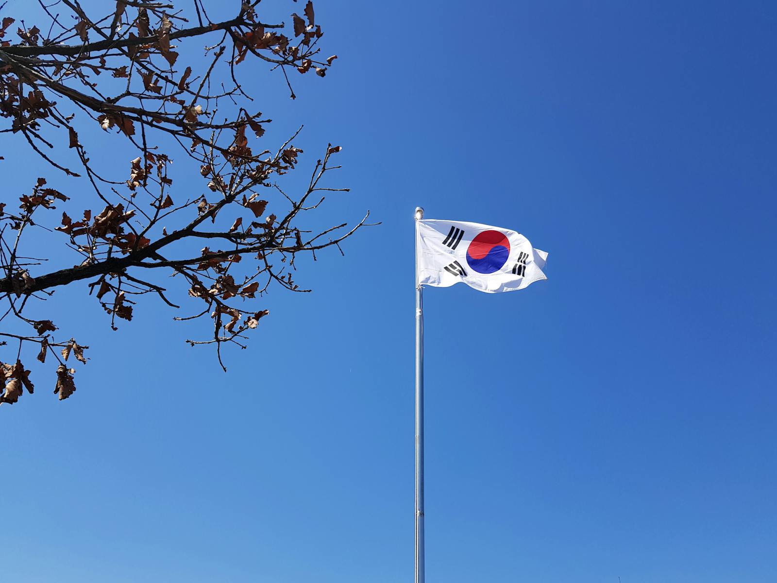 En flaggstang i Sør Korea som viser et sørkoreansk flagg