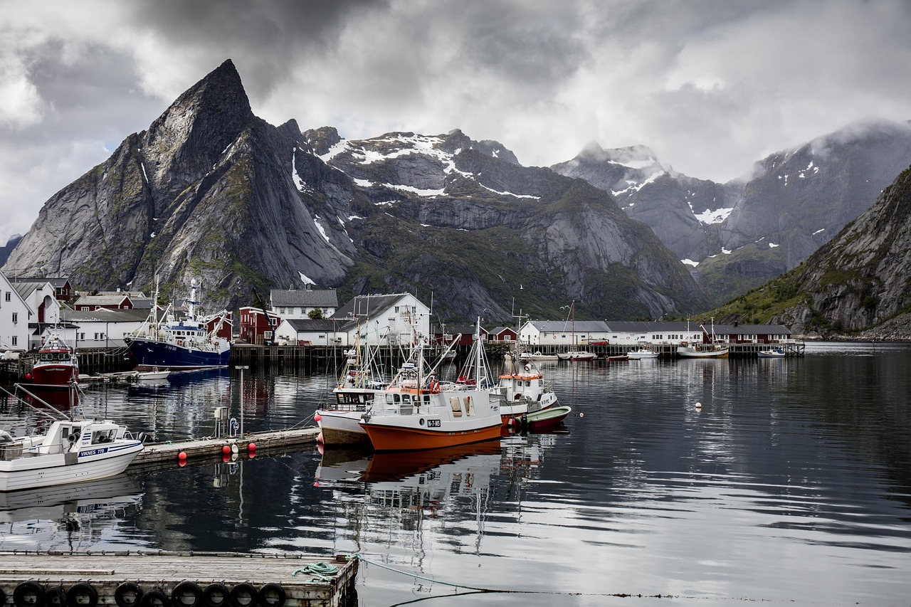 En havn med mange båter