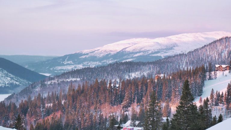 Snøskred i fjellet skog