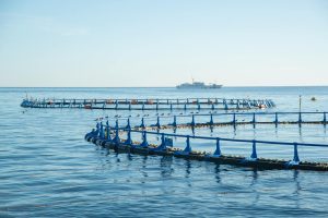 Et fiskeoppdrett i Norge