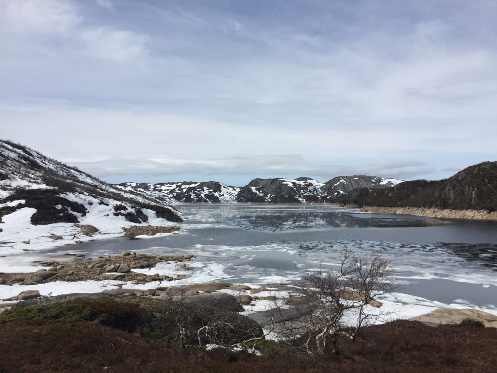 Et stort vatn i Åseral i Agder