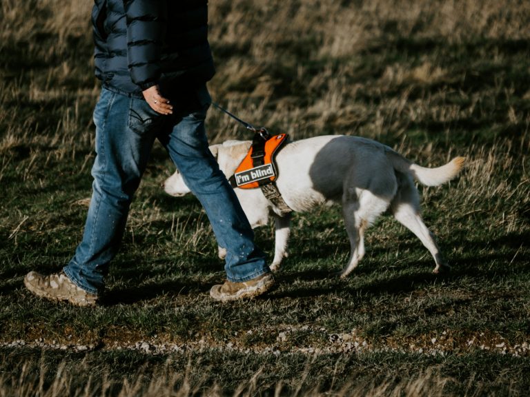 Mann i svart jakke som går med en hund