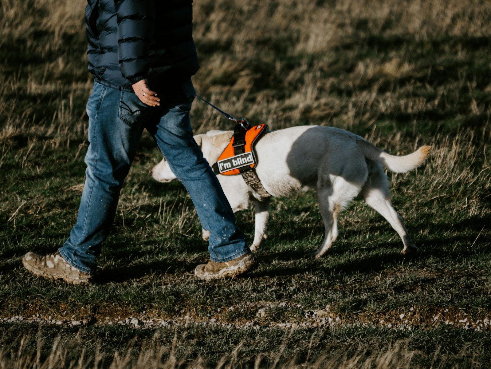 Mann i svart jakke som går med en hund