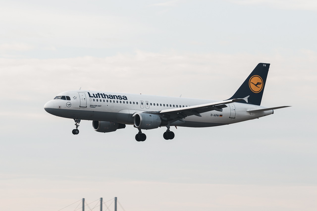 Et fly som flyr over en flyplass