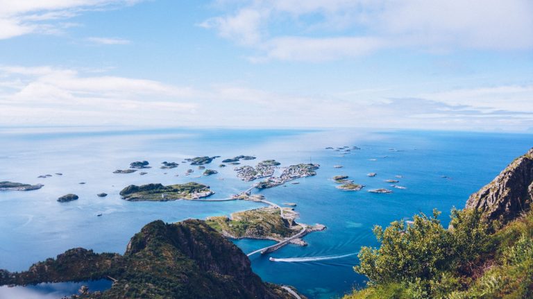 Fin natur med hav og grønne blader