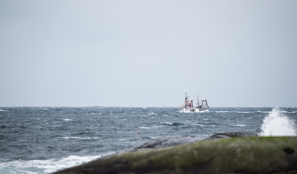 En båt som er ute på havet
